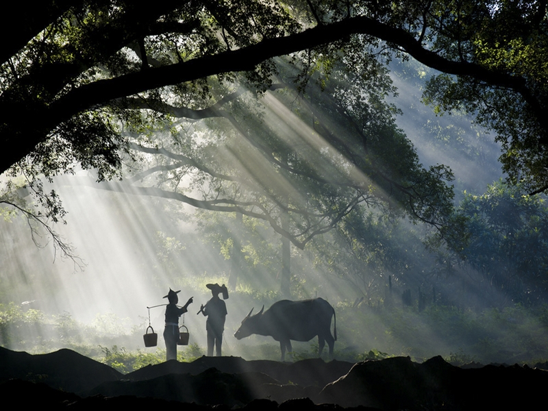 1023 - MORNING GREETINGS - ZHOU LIWEI - china.jpg